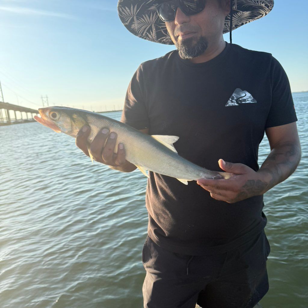 Mondo Sprinkler Repair