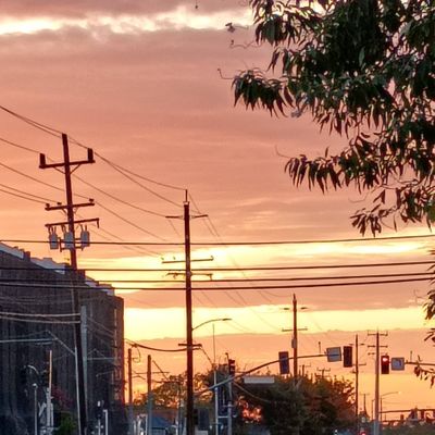 Avatar for Call on Curtis Handyman Service