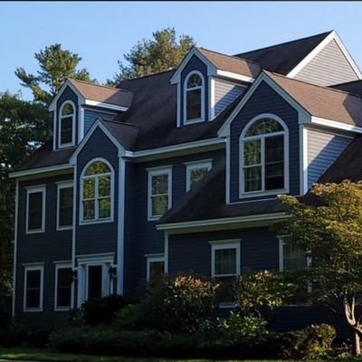 Avatar for Cut line painting