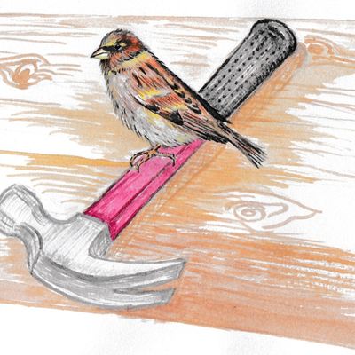 Avatar for Simple Trim