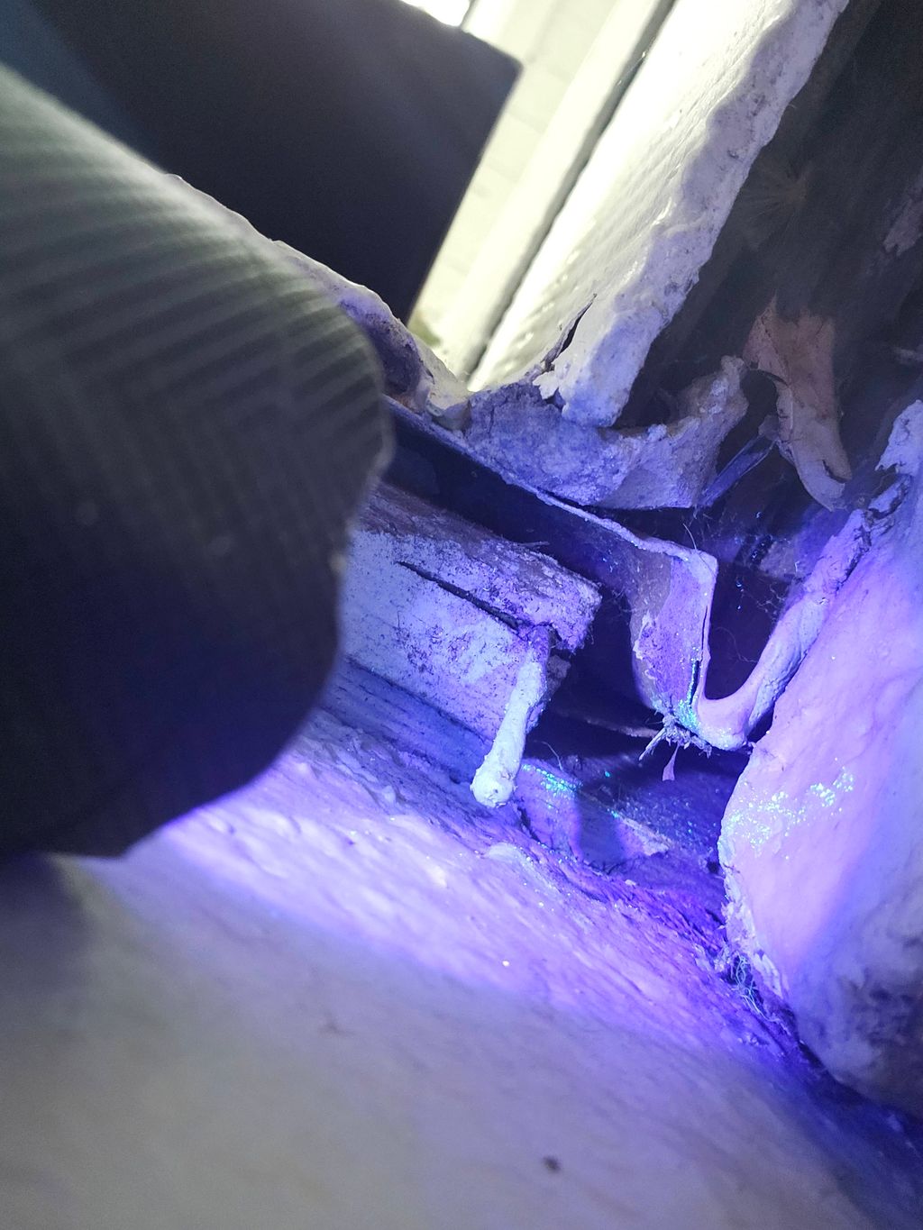 Another hidden entry point beneath siding corner