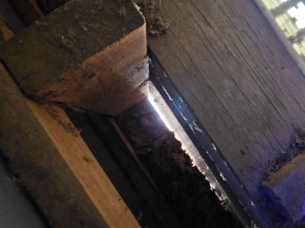 With a brick facade mice were able to climb direct