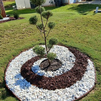 Avatar for Dezignz by Teznstyn