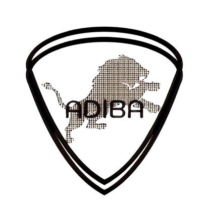 Avatar for Adiba Express