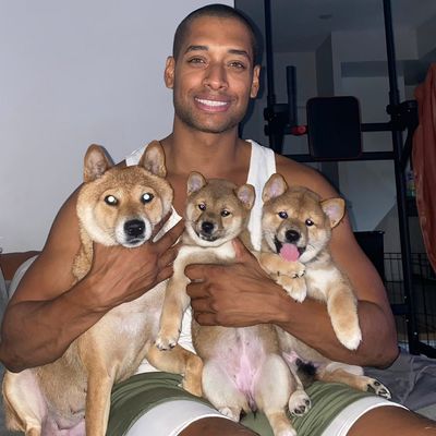 Avatar for Eye Candy Lawn Care Service