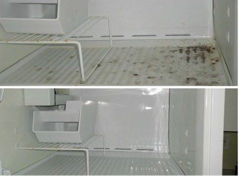 Freezer clean out on a rental after the tenants mo