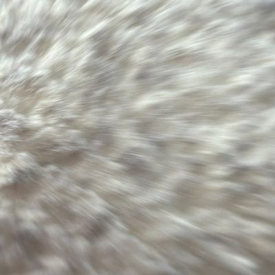 Avatar for Alpha Masonry LLC