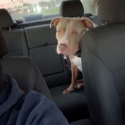 Avatar for Sunshine Services