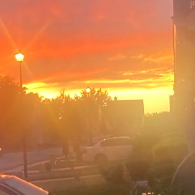 Avatar for Pro logistics