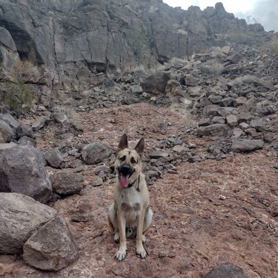 Avatar for Javi Favela