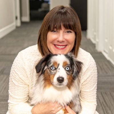 Avatar for Always Faithful Dog Traing of Itasca