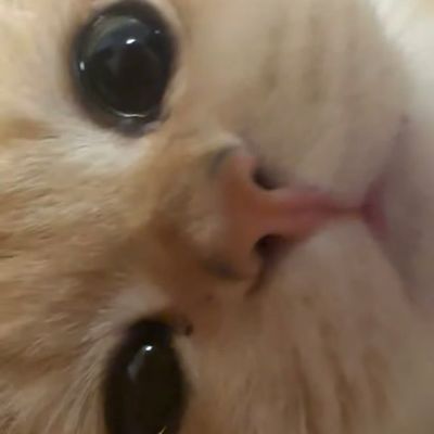 Avatar for Stacy’s Cleaning Services