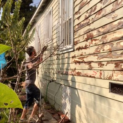 Avatar for The Guy Nextdoor