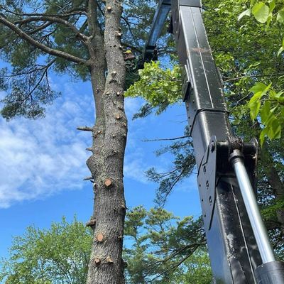 Avatar for Pelletier Paving Sealcoating & Tree