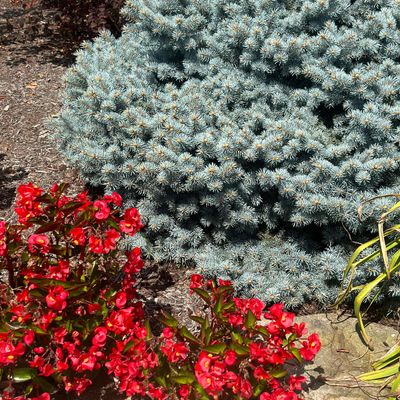 Avatar for UBN Productions