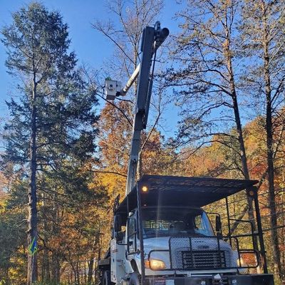 Avatar for Notch'em Tree Service