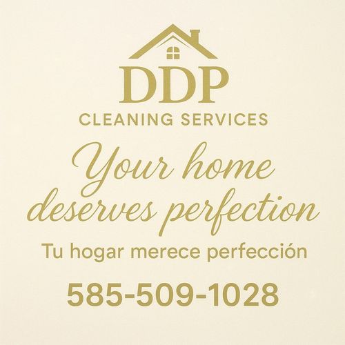 Dust & Dirt Perfection-Cleaning Services