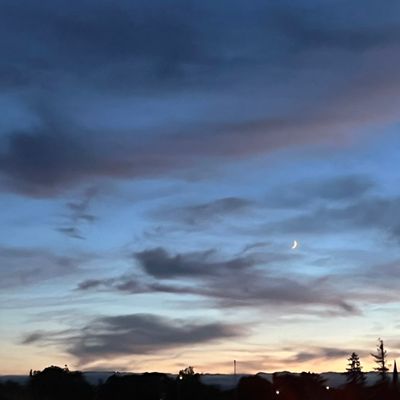 Avatar for PAW Services