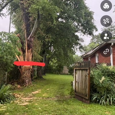 Avatar for Hernández