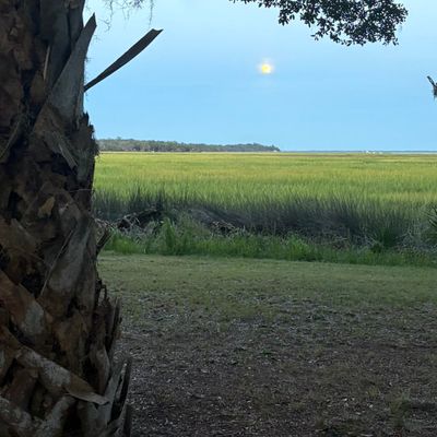 Avatar for Organize And Wynne