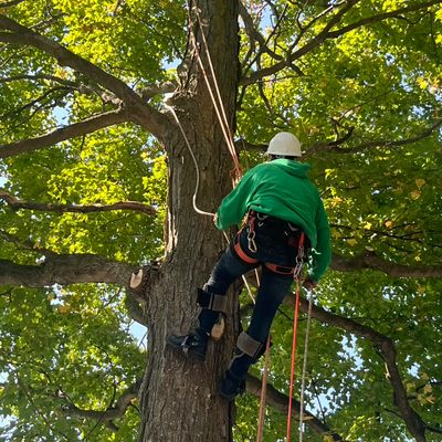 Avatar for VLOT OUTDOOR SERVICES LLC