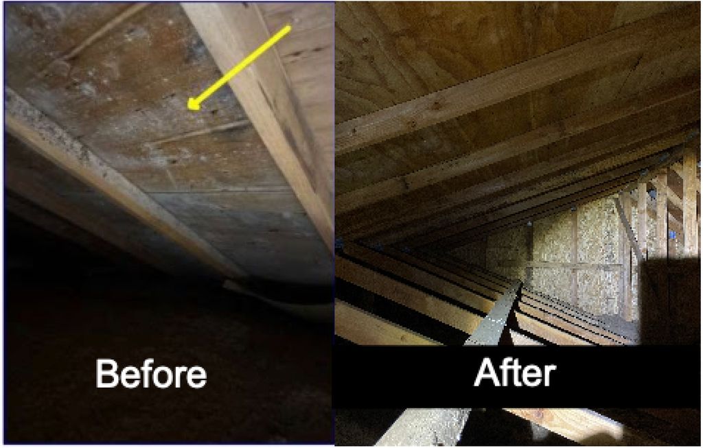 cleaned up this home inspection and ready for sale