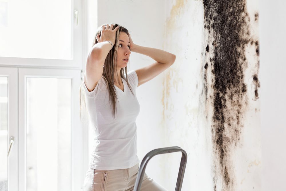 Wall cavity drying and moisture monitoring during 