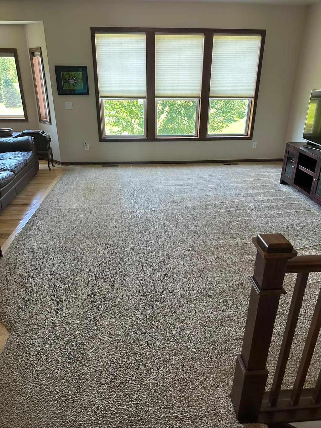 Carpet Cleaning Home Services