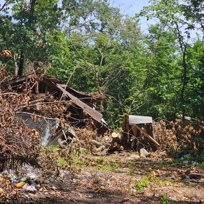 Avatar for Precision Land Clearing and Construction