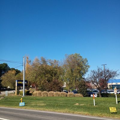 Avatar for Mad Dogg Landscaping