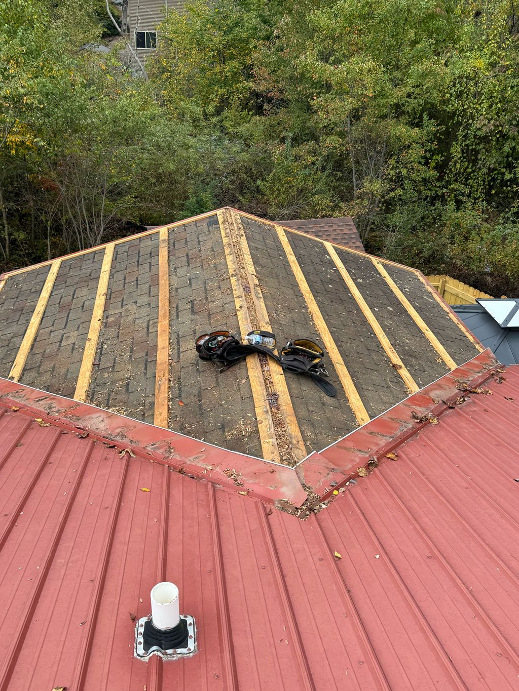 Black Mountain Tear Off