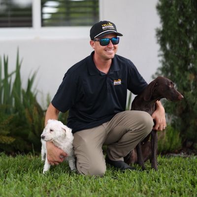 Avatar for Yellow Banana Pest Control