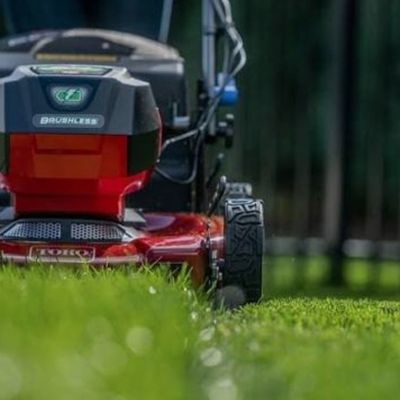 Avatar for DanTheLawnMan