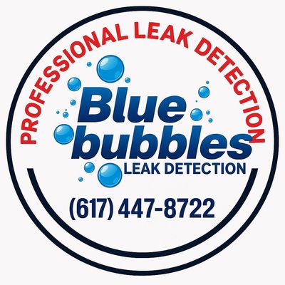 Avatar for Blue bubbles pools leak