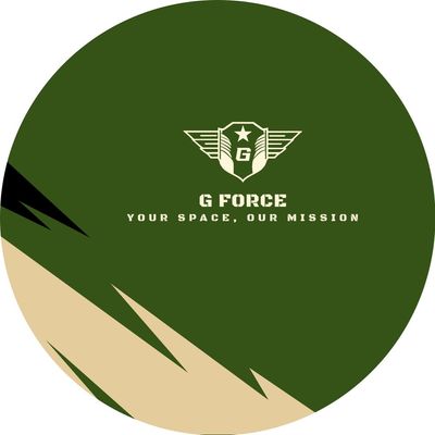 Avatar for G Force Junk Removal