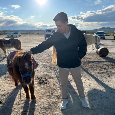 Avatar for Dorani Biz