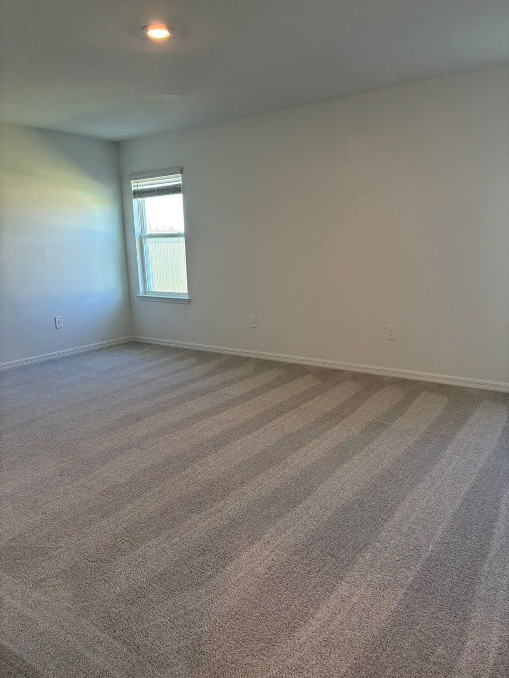 Something about vacuum carpet lines just feels rig