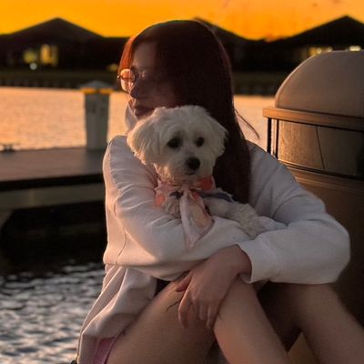 Avatar for Glamour Paws - Pet grooming