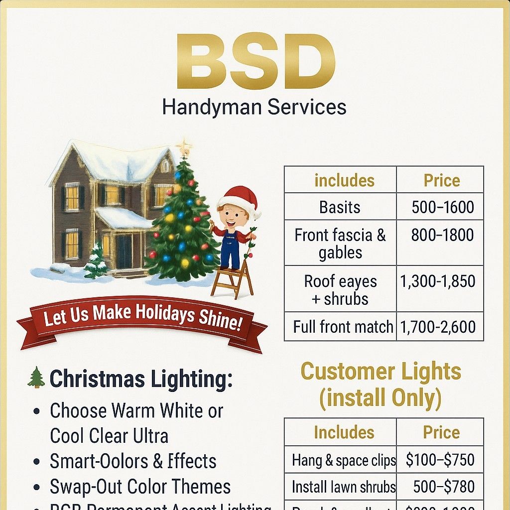 BSD Handyman Service's