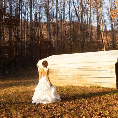 Avatar for Asheville Aperture