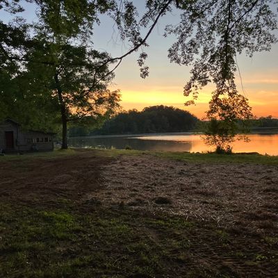 Avatar for Maintain Athens