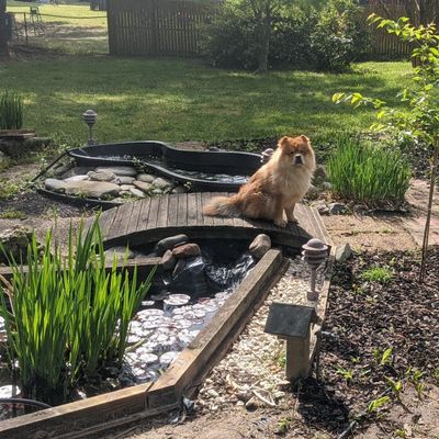 Avatar for N.A Transport & Removal