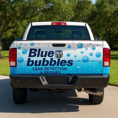 Avatar for Blue bubbles pools leak