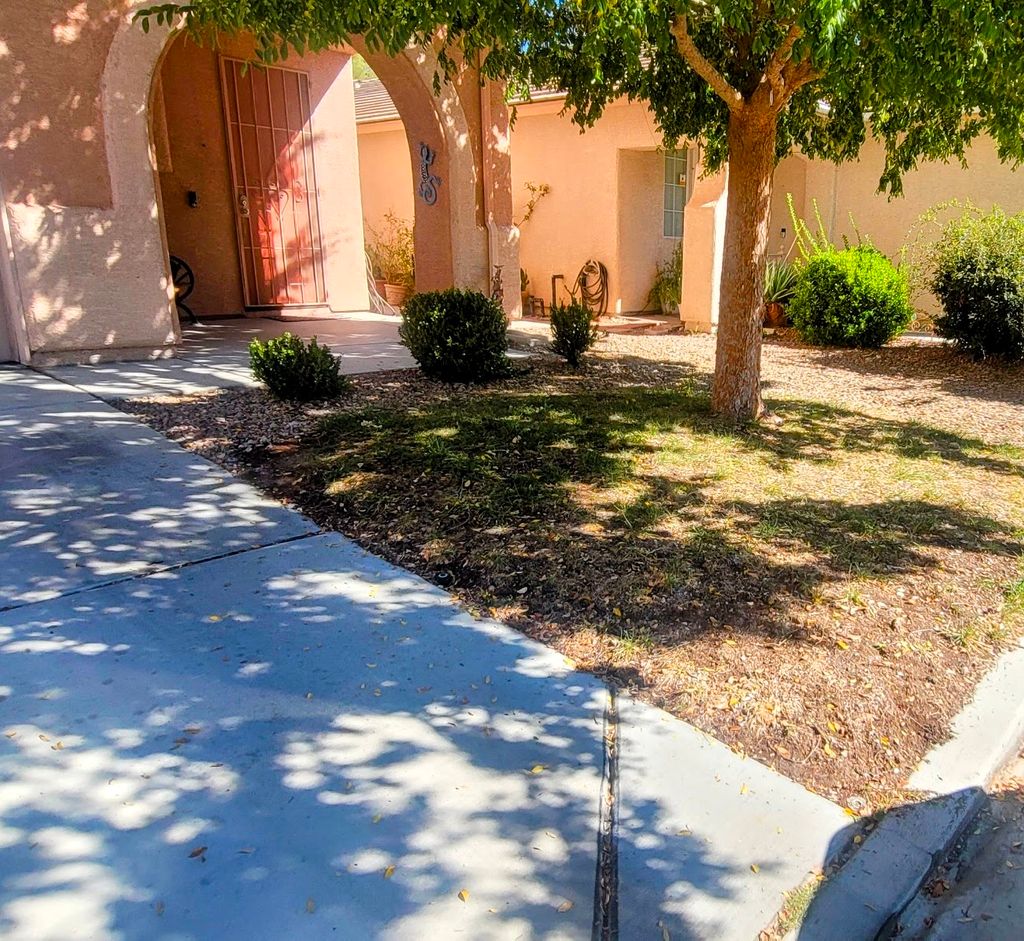 Front Yard Transformation (Before#1)