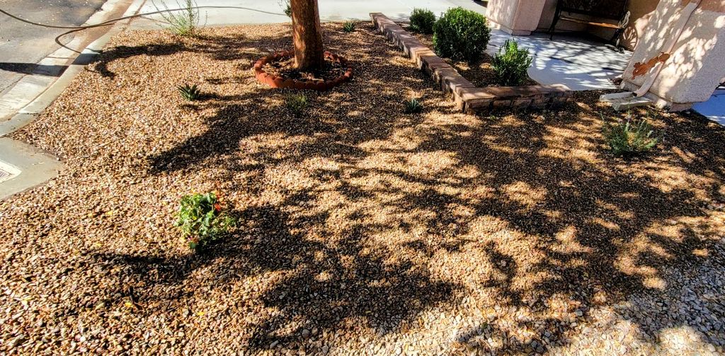 Front Yard Transformation (After#1)