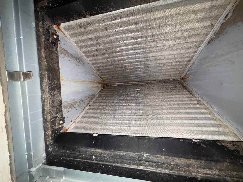 Before Evaporator Cleaning