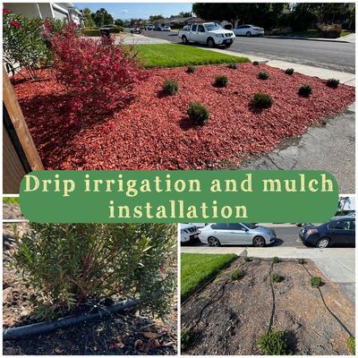 Avatar for Edward Landscaping Services