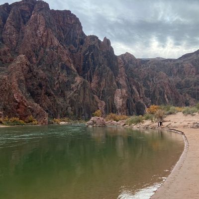 Avatar for Artifacts LLC