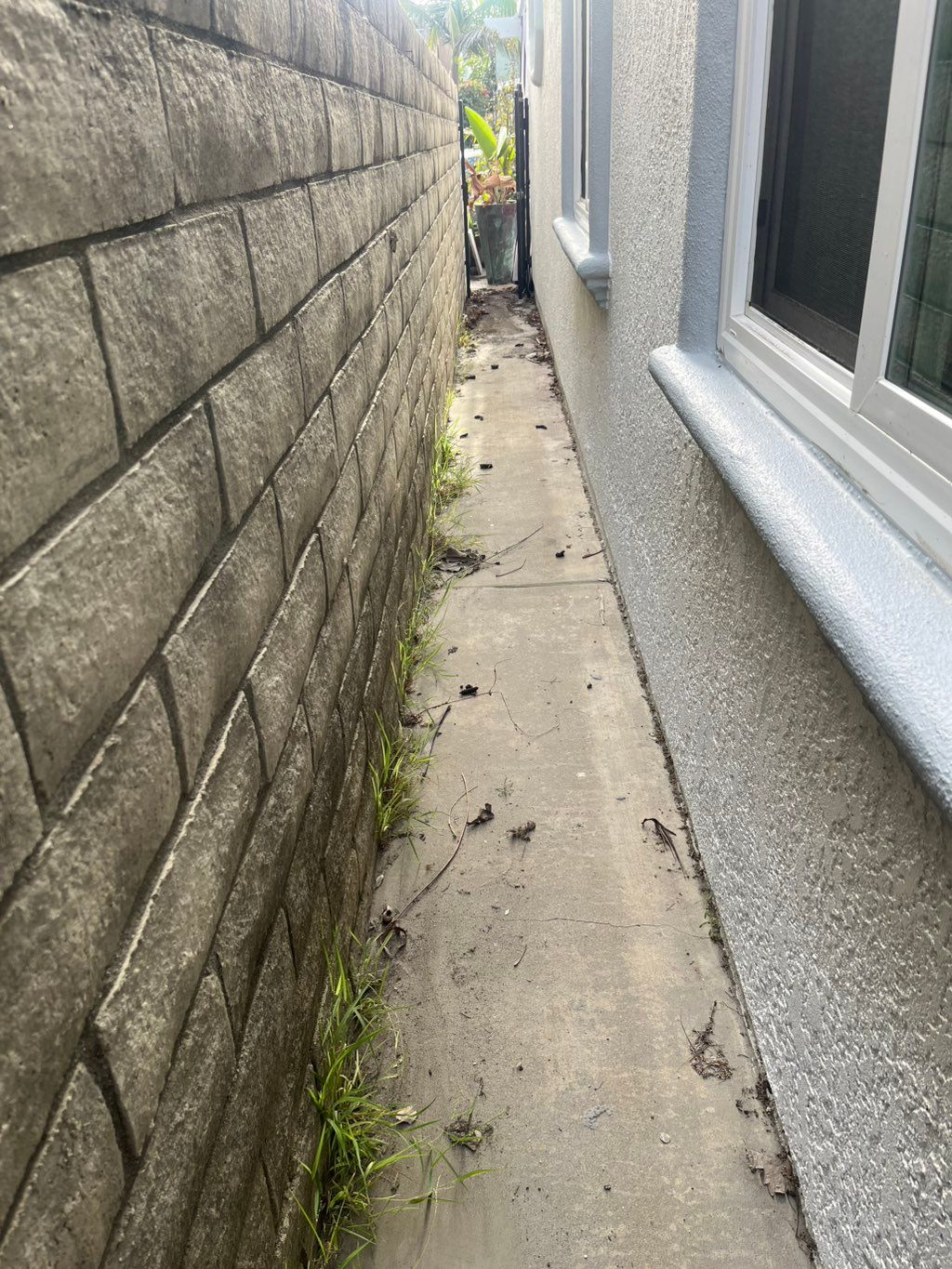 Home Exterior Cleaning/Organizing in Seal Beach (B