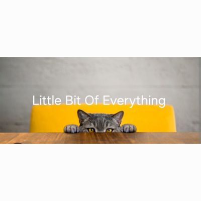 Avatar for Little Bit Of Everything